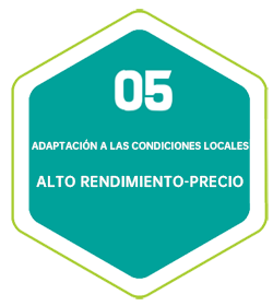 Adaptado a las condiciones locales - Alto valor por dinero