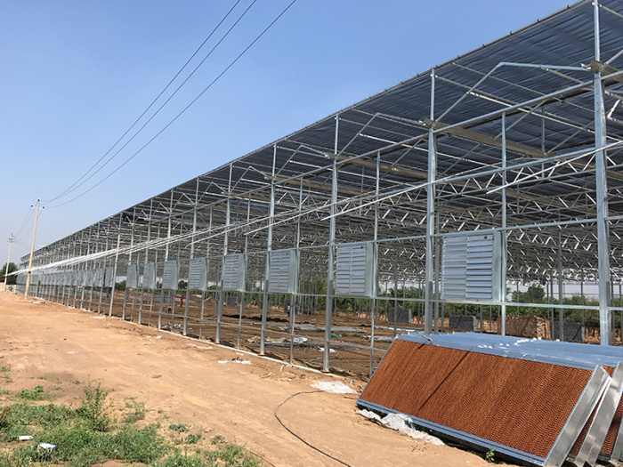 Invernadero de placa de polycarbonato