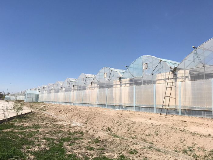 Invernadero multicancha de película