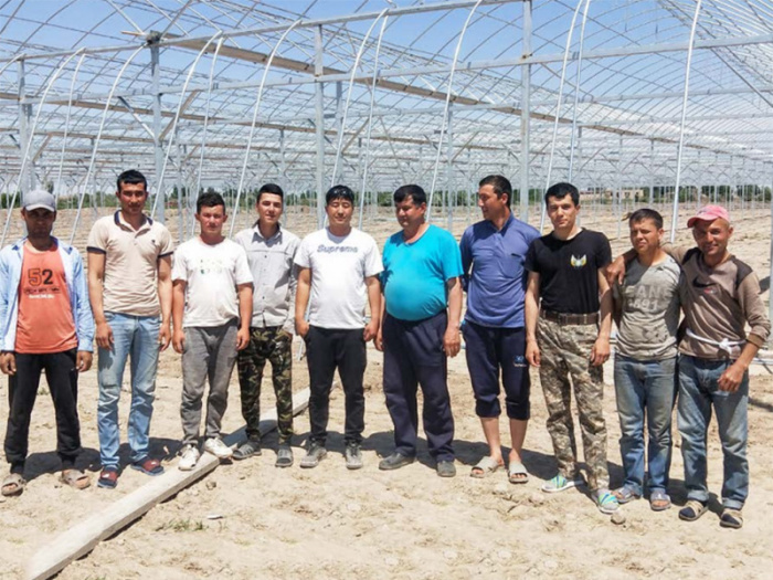 Cooperación y comunicación