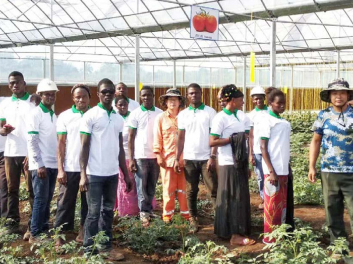 Cooperación y comunicación