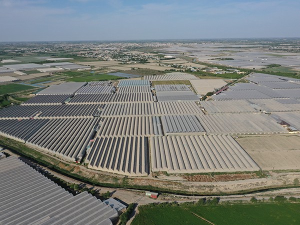 Invernadero de película multicancha en Uzbekistán