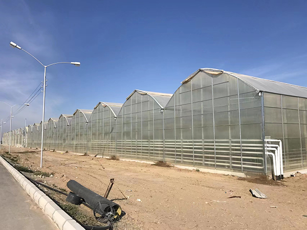 Invernadero multicancha gótico de 50.000 metros cuadrados en Turkmenistán