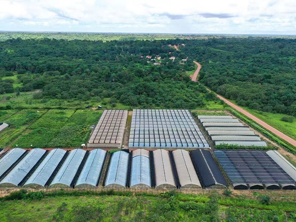 Proyecto de Invernaderos en Guinea