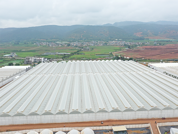 Proyecto de invernadero multicancha de película gótica de 1,5 hectáreas en Kirguistán