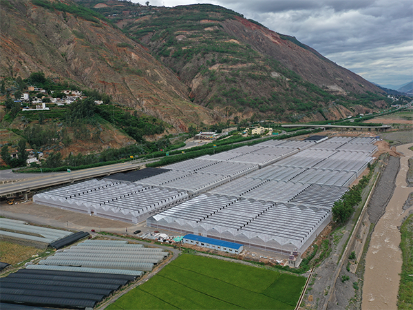 Proyecto de Invernadero Moderno de Propagación de 150 mu (10 hectáreas) en Tuobuka, Distrito Dongchuan, Kunming, Yunnan