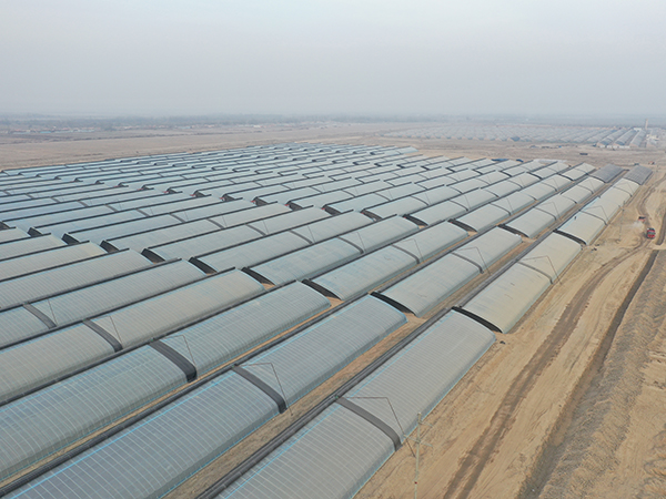 Proyecto de Construcción de Invernaderos de Invernadero Solar en Yingjisha, Xinjiang