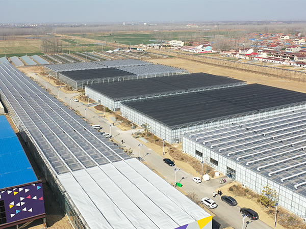 Invernadero de Vidrio de 3 Hectáreas en el Pueblo de Orquídeas, Shuyang, Jiangsu