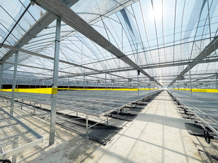 Invernadero multicancha de entramado en sierra