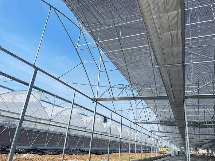 Invernadero multicancha de entramado en sierra