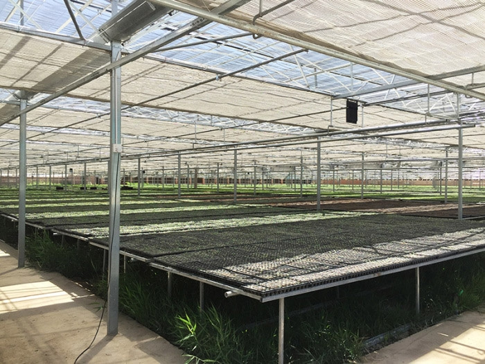 Invernadero de placa de polycarbonato