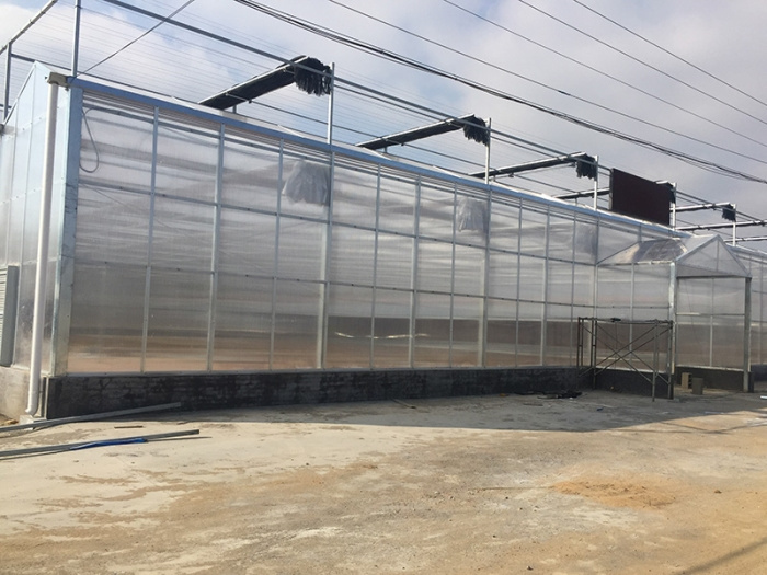 Invernadero de placa de polycarbonato