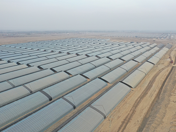 Proyecto de Construcción de Invernaderos Solares en Yingjisha, Xinjiang