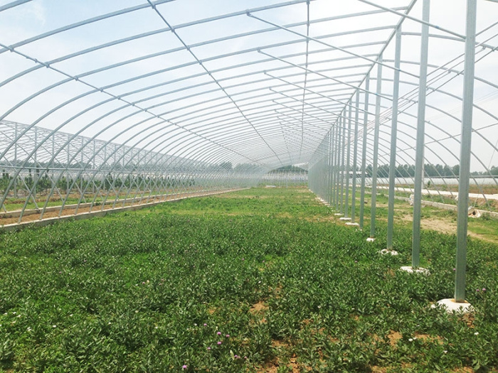 Invernadero de arco aislante térmico