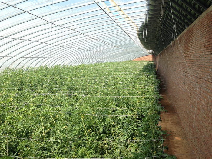 Invernadero solar prefabricado