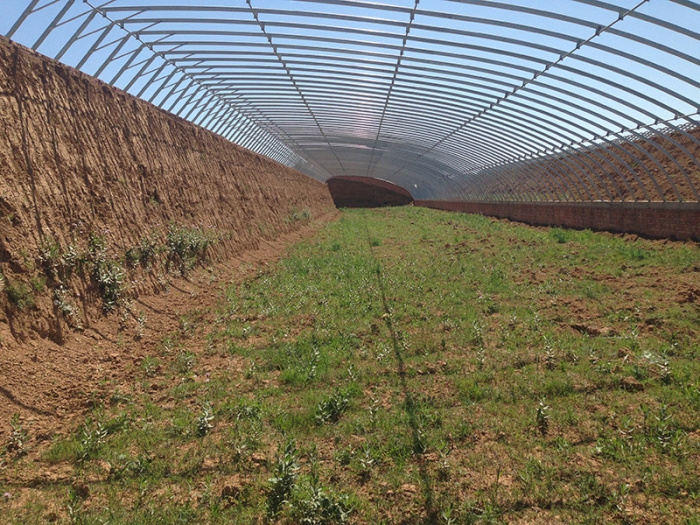 Invernadero solar prefabricado