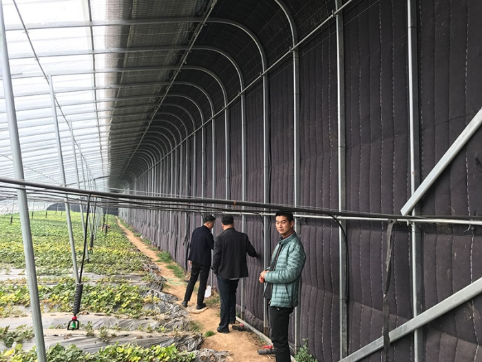 641 mu del Parque de Innovación y Ciencia Agrícola Digital Lisente en Shouguang