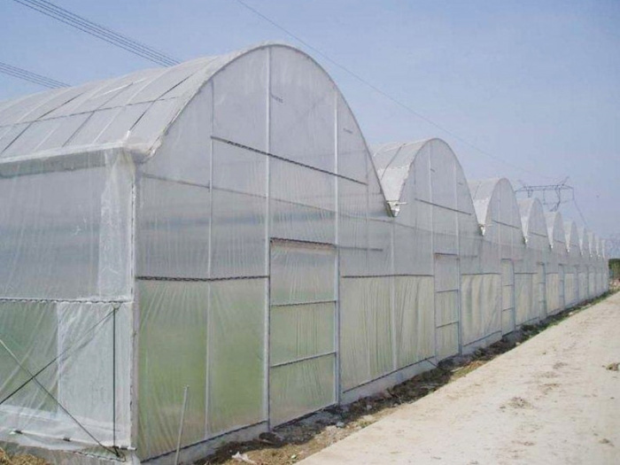 Invernadero multicancha de película