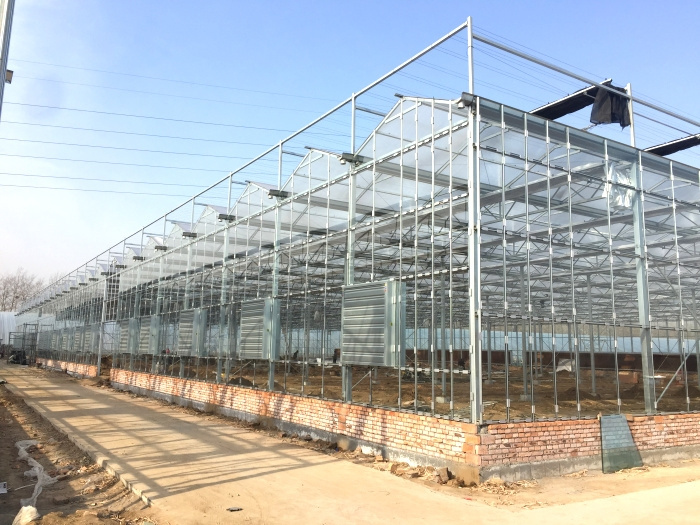 Invernadero multicancha inteligente