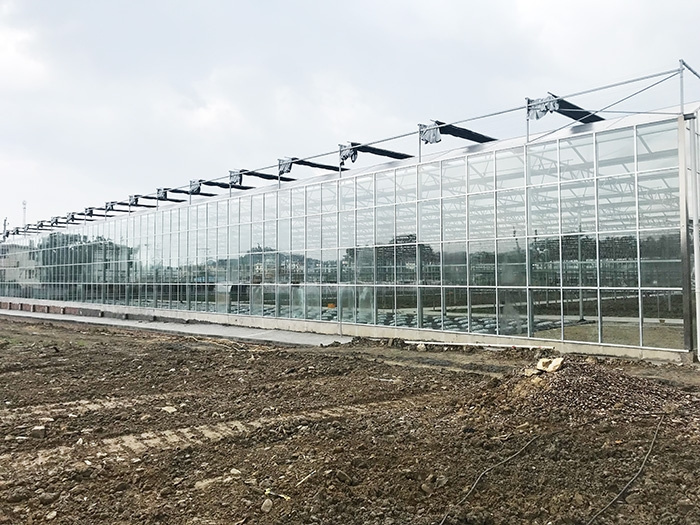 Invernadero multicancha inteligente