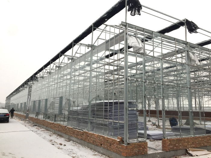 Invernadero multicancha inteligente