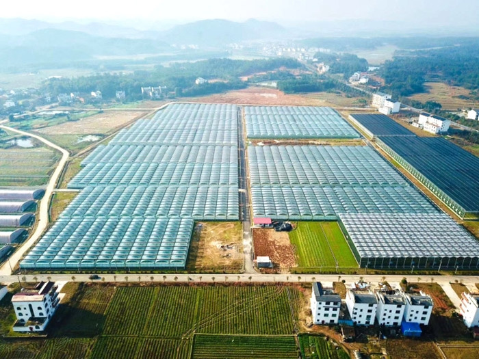 Invernadero multicancha inteligente