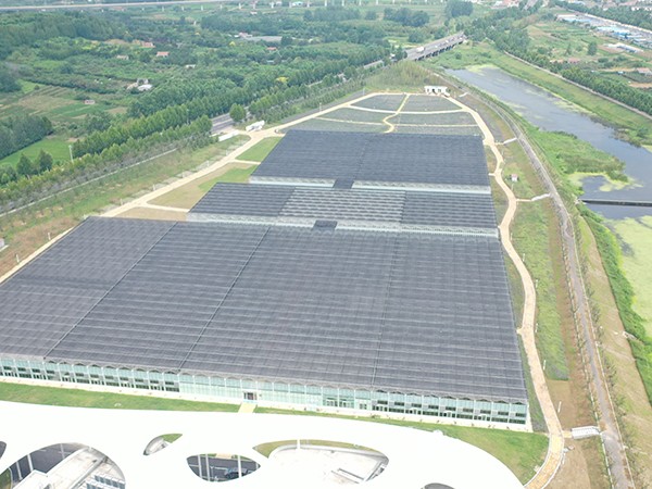 Invernadero de vidrio de 15.000 metros cuadrados en la Zona de Demostración de Integración del Desarrollo Industrial Rural, Lanshan Distrito, Rizhao, Shandong