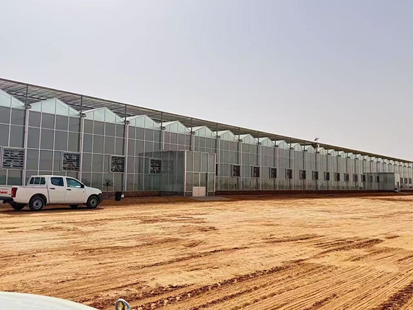 70.000 metros cuadrados de Grupo Haoyu en Juxian, Rizhao, Shandong