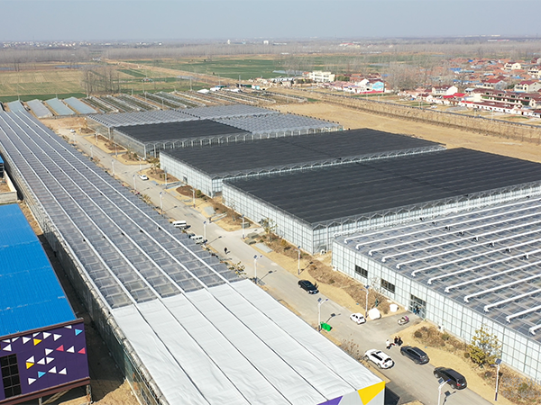 Invernadero de vidrio de 3 hectáreas en Pueblo de Orquídeas, Shuyang, Jiangsu