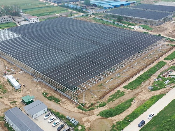 Invernadero de vidrio de 15.040 metros cuadrados en Zhuzhou, Hunan