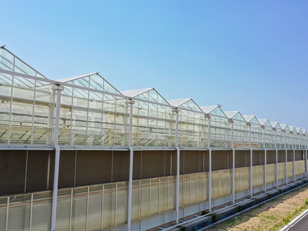 Invernadero de vidrio inteligente
