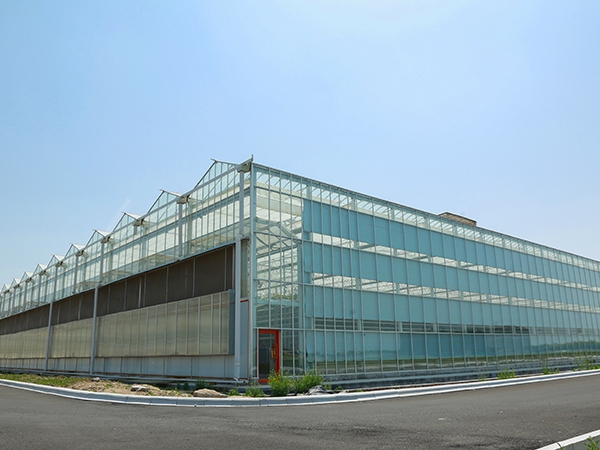 Invernadero de vidrio inteligente